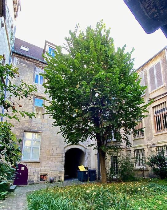 Sublime Appartement Typique Hypercentre كان المظهر الخارجي الصورة